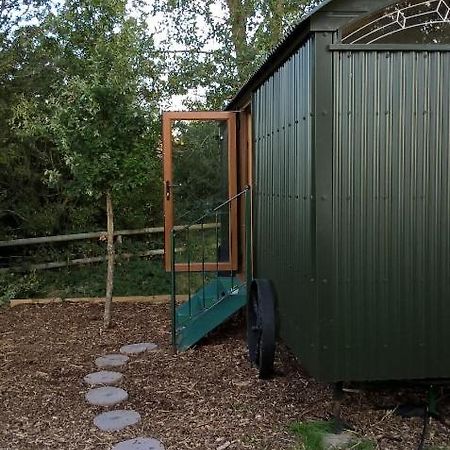 Glamping Malvern Shepherd Hut Extérieur photo