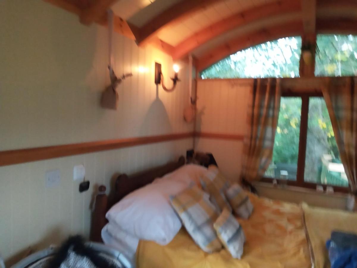 Glamping Malvern Shepherd Hut Extérieur photo