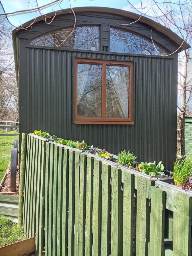 Glamping Malvern Shepherd Hut Extérieur photo