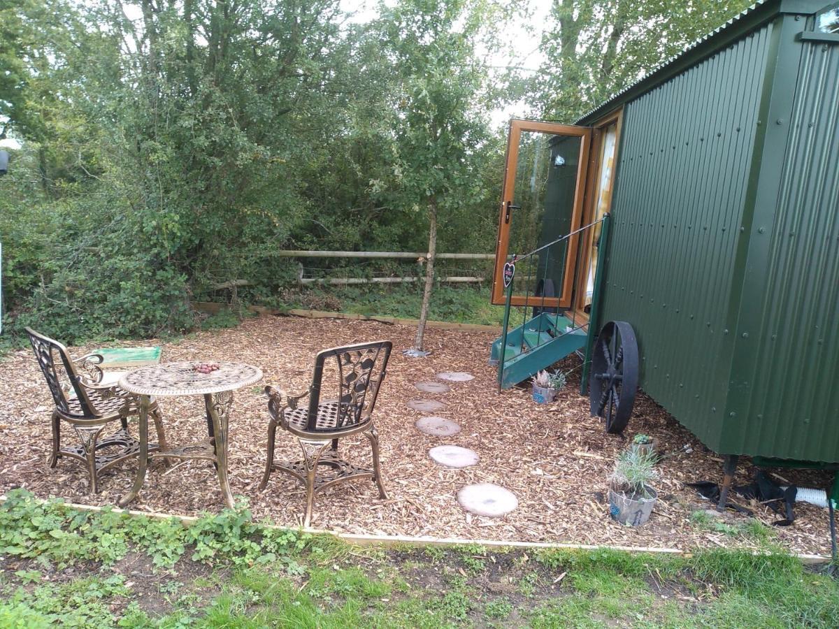 Glamping Malvern Shepherd Hut Extérieur photo